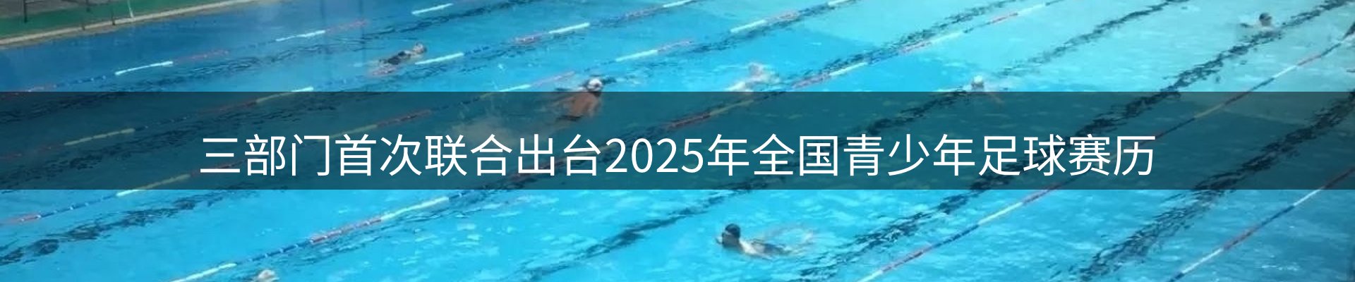 公司导读