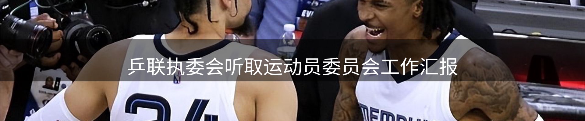公司导读
