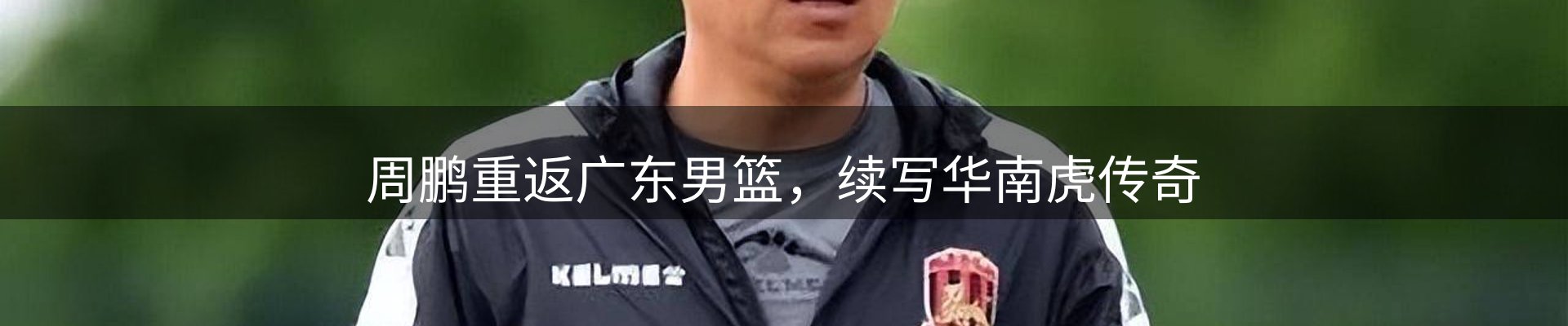 公司导读