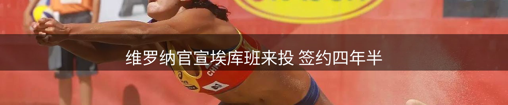 公司导读